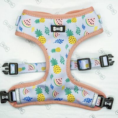 Cutie Fruity Adjustable Dog Harness - Medium