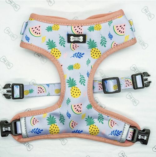 Cutie Fruity Adjustable Dog Harness - XL