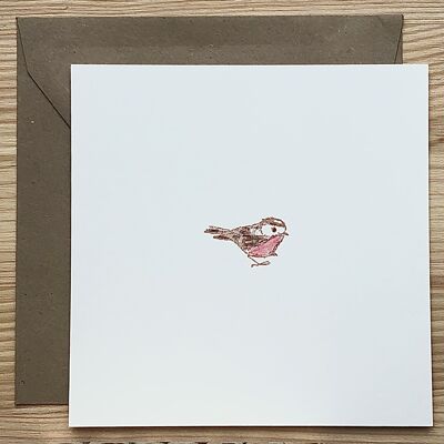 Tarjeta Robin