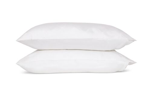 Eucalyptus Silk Pillow Protector - Regular