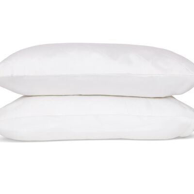 Eucalyptus Silk Pillow Protector - Regular