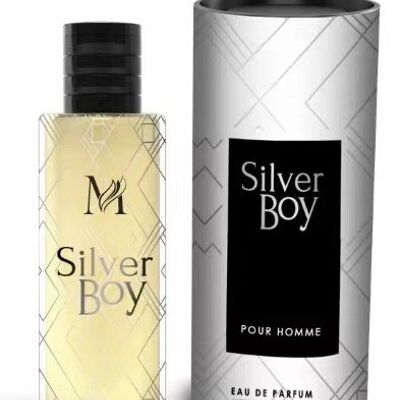 PERFUME 100ML SILVER BOY M6723