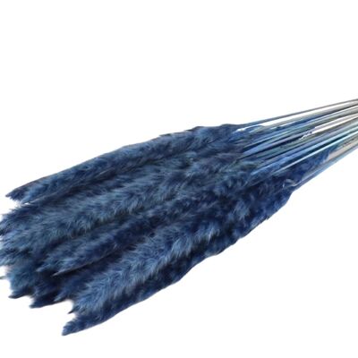 Fluffy pampas - per bos - 70 cm - blauw - droogbloemen