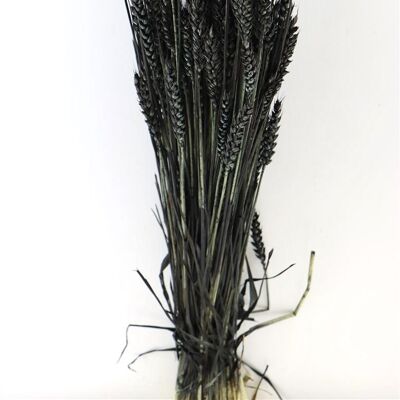 Droogbloemen - Triticum - Tarwe - zwart - 60 cm