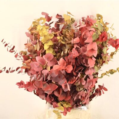 Dried flowers - Eucalyptus - autumn mix