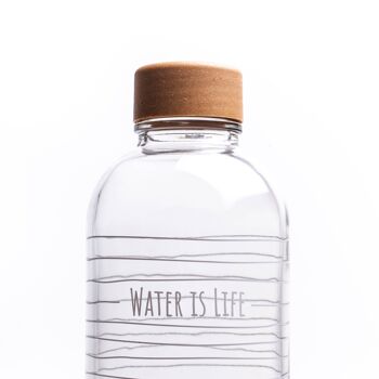 Gourde en verre - CARRY Bottle WATER IS LIFE 1.0l 5