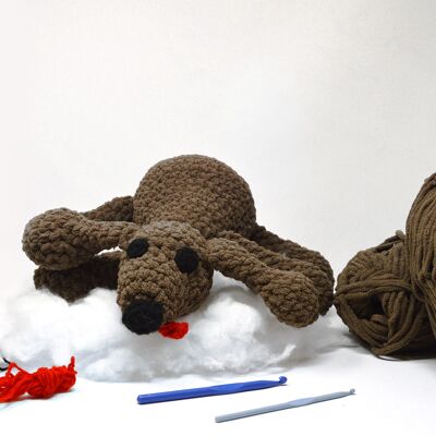 Kit de crochet pour chien Dylan