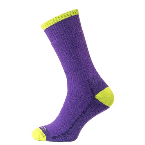 Horizon Premium Merino Trek Sock: Purple Marl / Lime