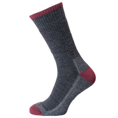 Horizon Premium Merino Hike Socke: Anthrazit Merino / Burgund