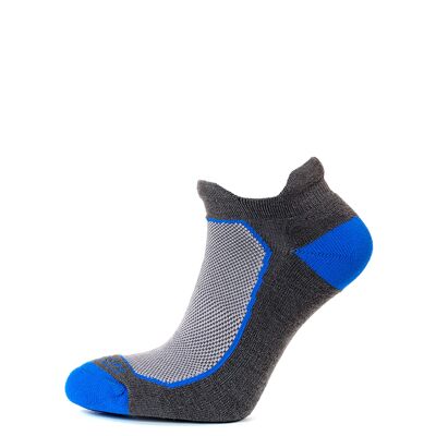 Horizon Premium Tab Low Cut Sock: Graphite / Royal