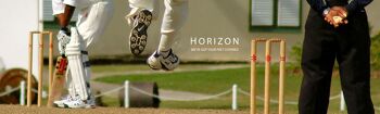 Chaussette Horizon T20 Cricket : Gris 3