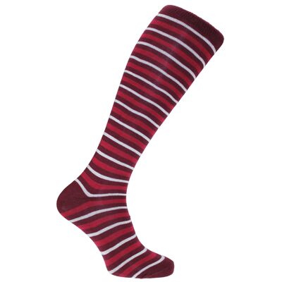 Chaussettes habillées Horizon School Long (longueur au genou) : Eastbourne : Bordeaux/Blanc/Vin