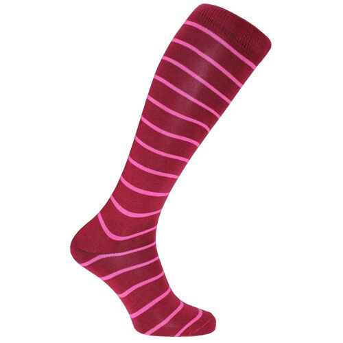 Horizon School Long (Knee Length) Dress Socks: Fettes: Burgundy/Cerise