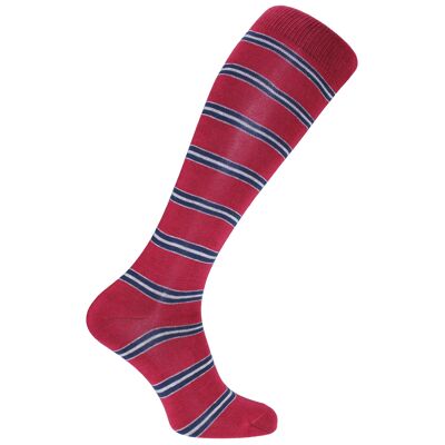 Horizon School Long (Knee Length) Dress Socks: King's Canterbury: Burgundy/Grey/Navy