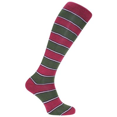 Horizon School Long (Knee Length) Dress Socks: The Leys School of Cambridge: Burgundy/Navy/Pink/Green