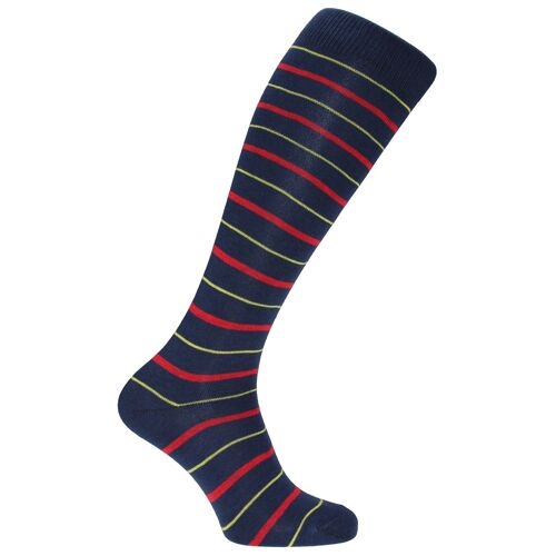 Horizon School Long (Knee Length) Dress Socks: Sherborne City: Navy/Yellow/Red