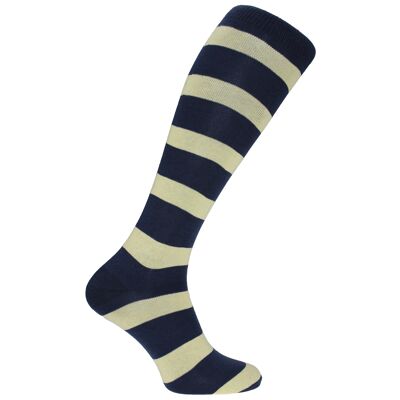 Horizon School Long (Knee Length) Dress Socks: Stonyhurst: Navy/Lemon