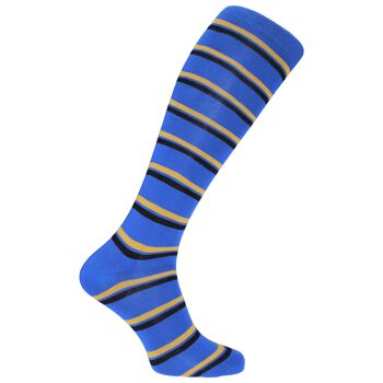 Chaussettes habillées Horizon School Long (longueur au genou) : Strathallan : Royal/Or/Noir 1