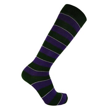 Chaussettes habillées Horizon Regimental longues (au genou) : Argyll & Sutherland Highlanders : vert/blanc/violet 1