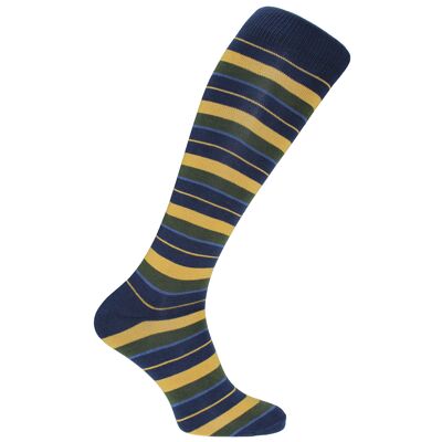 Horizon Regimental Long (Knielänge) Kleidersocken: Queen's Royal Hussars: Navy/Grün/Hellblau/Gold