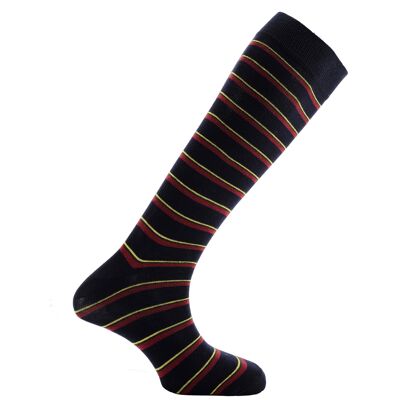 Horizon Regimental Long (Knee Length) Dress Socks: Royal Marines: Navy/Yellow/Green/Burgundy