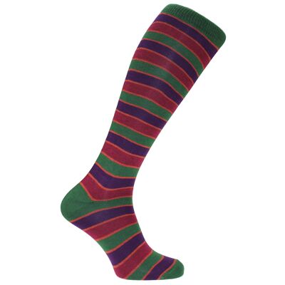 Horizon  Clubs Long (Knee Length) Dress Socks: Eton Ramblers: Green/Amber/Purple/Burgundy
