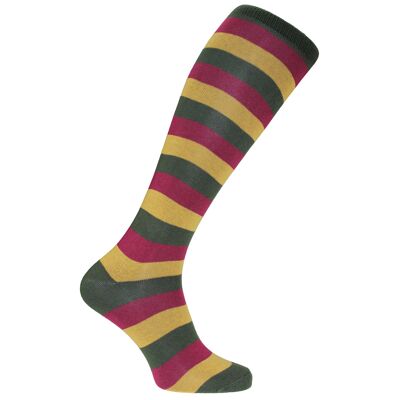 Horizon  Clubs Long (Knee Length) Dress Socks: Royal Automobile Club: Green/Burgundy/Gold