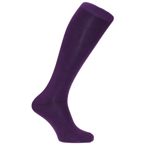 Horizon Colours Long (Knee Length) Dress Socks: Purple: Purple