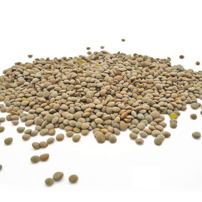 Olive Green Lentils from Sussex, Organic