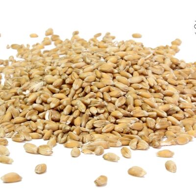 Spelt, Organic Wholegrain - 25kg bag - SAVE 50%