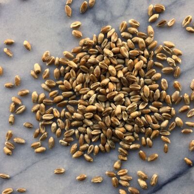Spring Wheat, Organic Wholegrain - 1kg bag - SAVE 10%