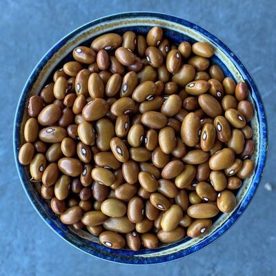 Swedish Brown Beans