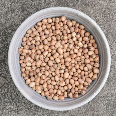 Whole Fava Beans, Organic - 1kg bag - SAVE 10%