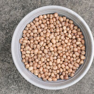 Whole Fava Beans, Organic - 5kg bag - SAVE 20%
