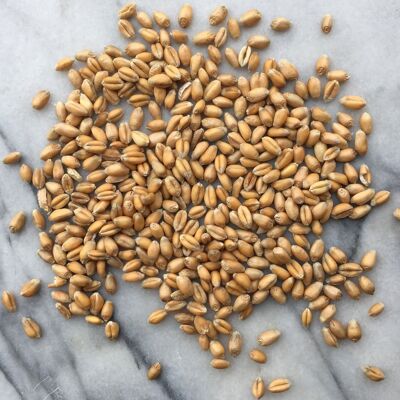 YQ Wheat, Organic Wholegrain - 1kg bag - SAVE 10%