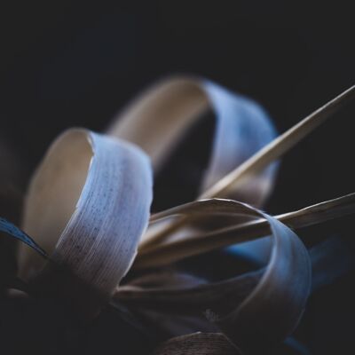 Nature photography print: Satin ribbons - Small