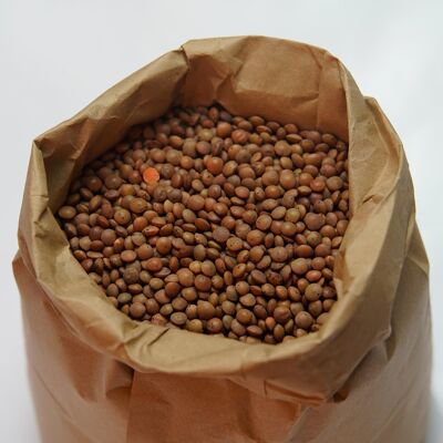 Organic mountain lentils - 5kg