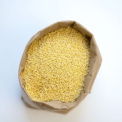 Organic golden millet - 5kg