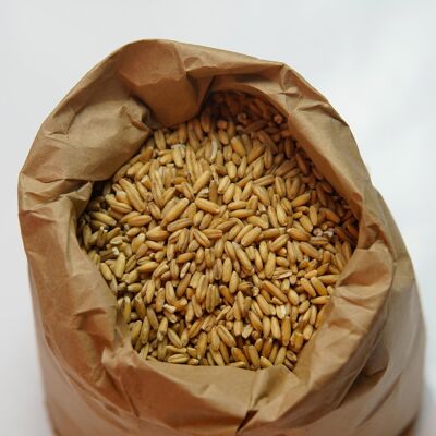 Organic oats - 5kg