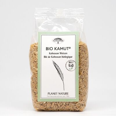 Organic Kamut® Khorasan wheat