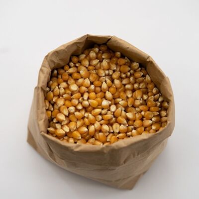 BIO popcorn corn