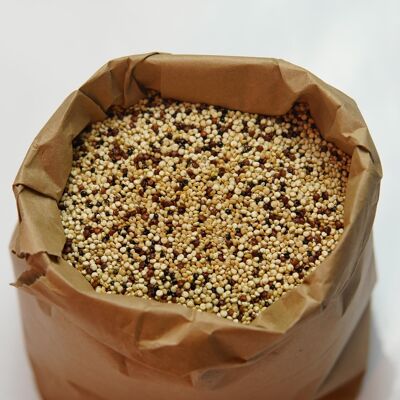 Quinoa tricolore biologica - 5kg