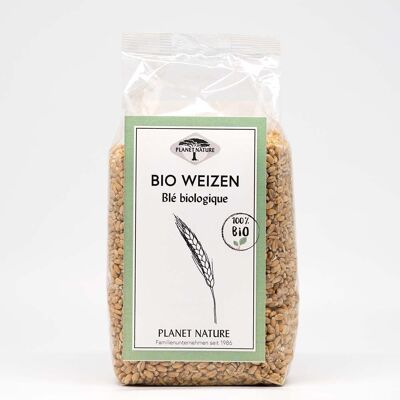 Organic wheat - 500g