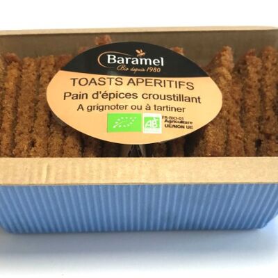 Toast croccanti di panpepato bio - 70gr