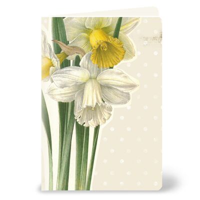 Tarjeta de felicitación con narcisos / narcisos - para primavera y como saludos de Pascua