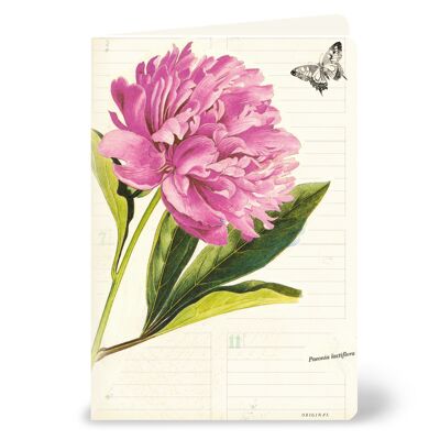 Greeting card with peony and butterfly in a vintage look