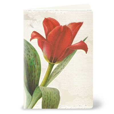 Biglietto di auguri con tulipano rosso in un look vintage