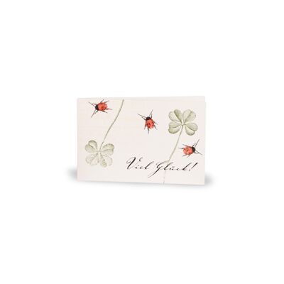 Gift card "Good luck!" with ladybug and clover leaves
