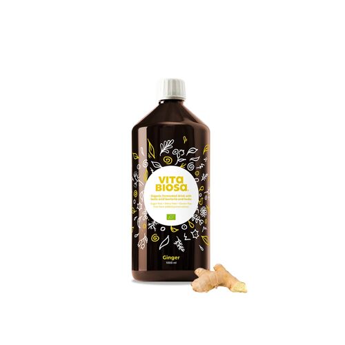 Vita Biosa Ginger - 1000ml