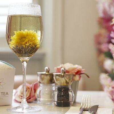 FLORA TEA Laternen-Geschenkbox - max. 6 verschiedene Flora-Tees
